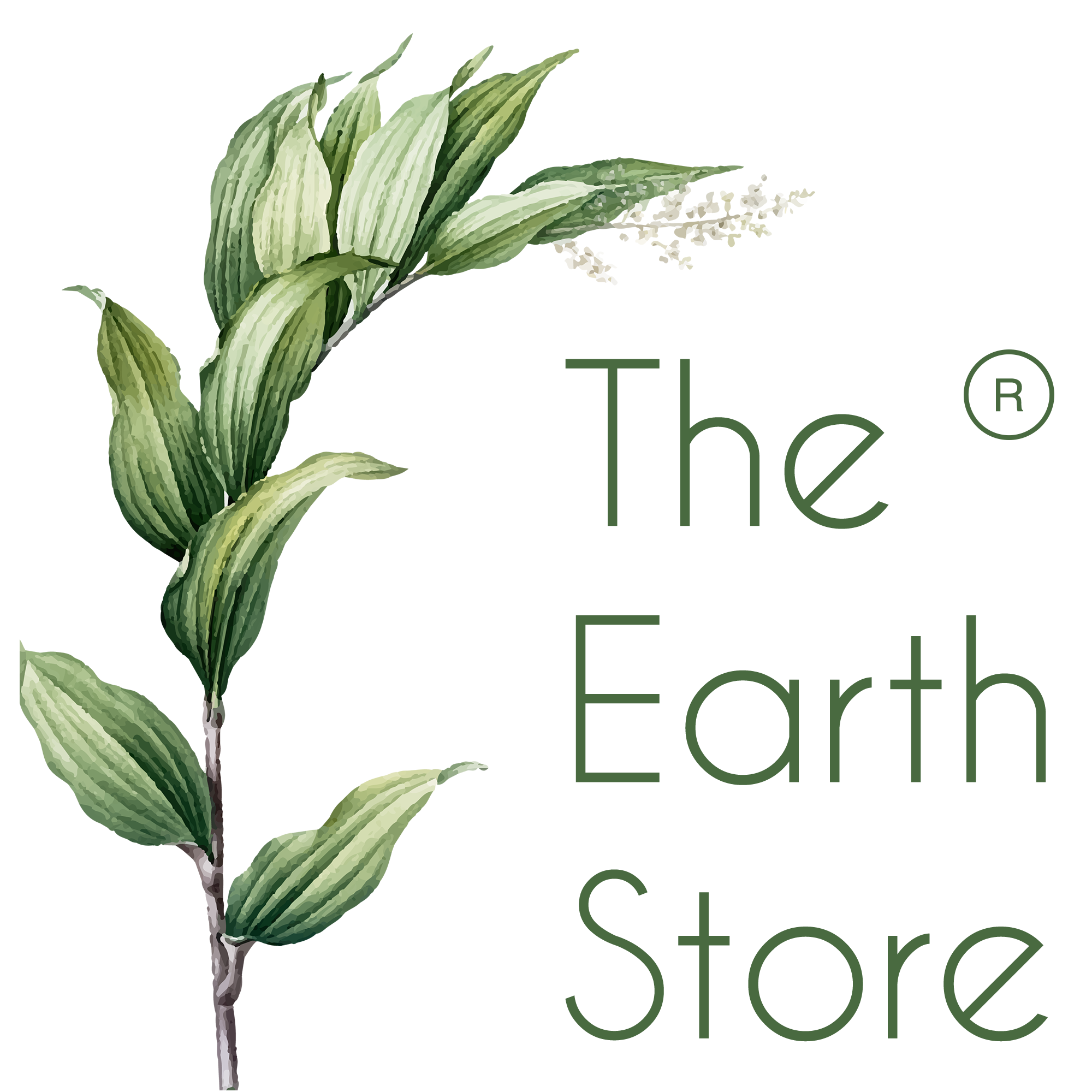 The Earth Store